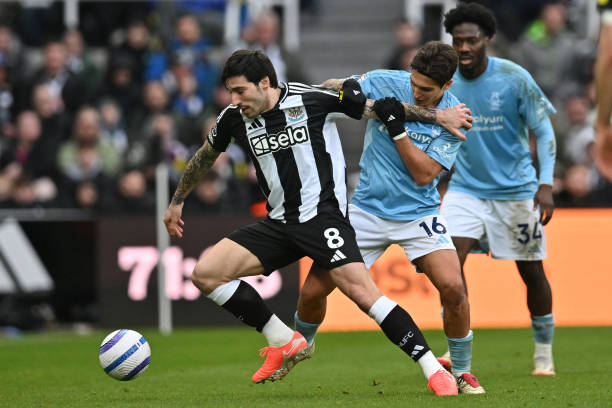 展現了歐洲 展現了歐洲