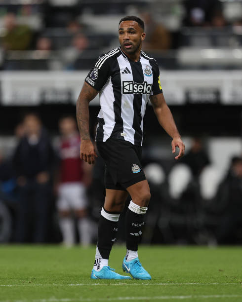 成員的共同 成員的共同